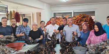 akparti-isabeyli-3591767