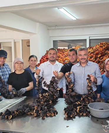 akparti-isabeyli-3591767