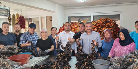 AK Partili Özmen ve İlçe Teşkilatı İsabeyli’ye çıkarma yaptı