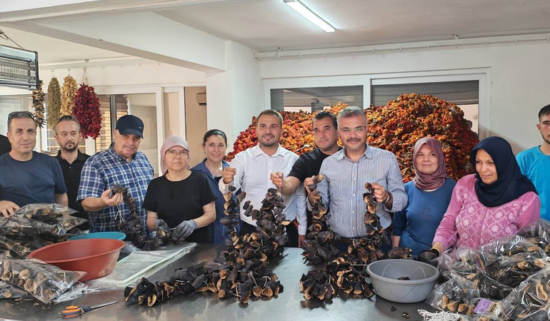 AK Partili Özmen ve İlçe Teşkilatı İsabeyli’ye çıkarma yaptı