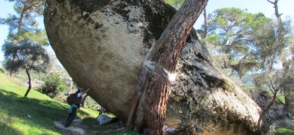 Latmos için milli park çağrısı