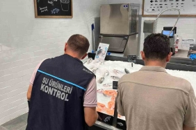 Didim’de su ürünleri satış yerleri denetlendi